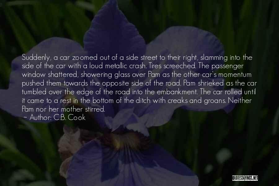 The Mother In The Road Quotes By C.B. Cook