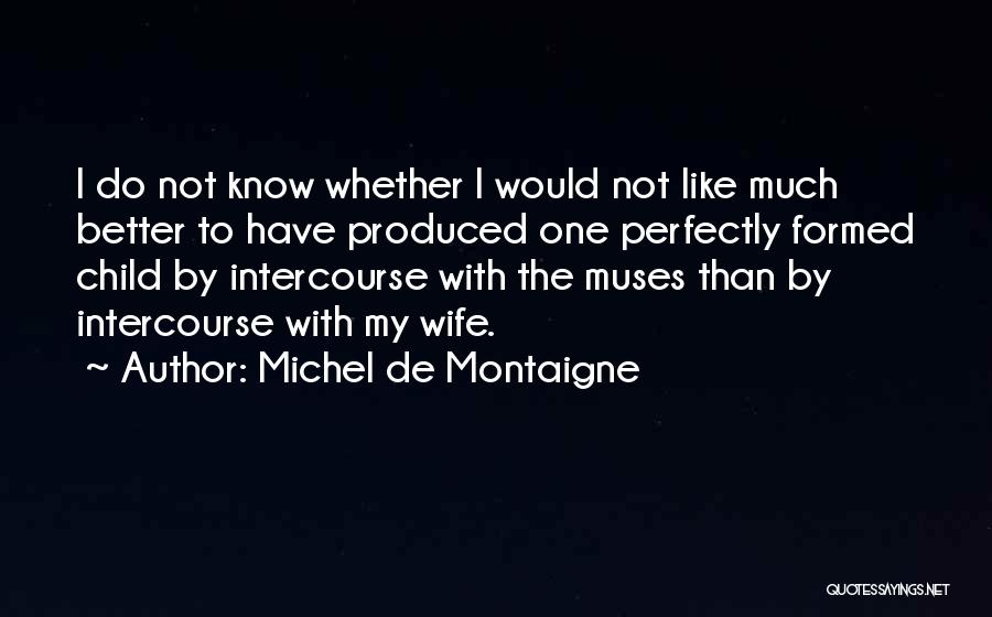 The Muse Quotes By Michel De Montaigne