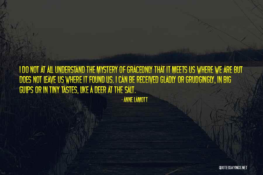 The Mystery Of Grace Quotes By Anne Lamott The Mystery Of Grace Quotes By Anne Lamott