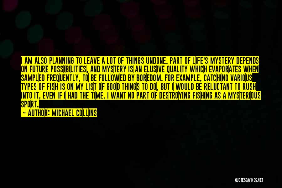The Mystery Of The Future Quotes By Michael Collins
