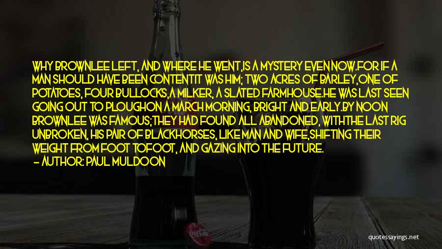 The Mystery Of The Future Quotes By Paul Muldoon