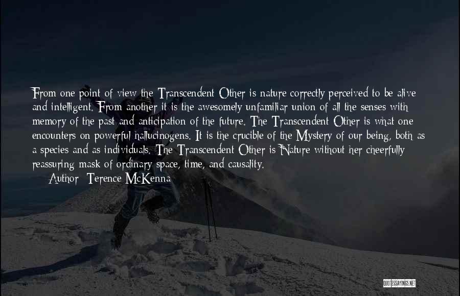 The Mystery Of The Future Quotes By Terence McKenna