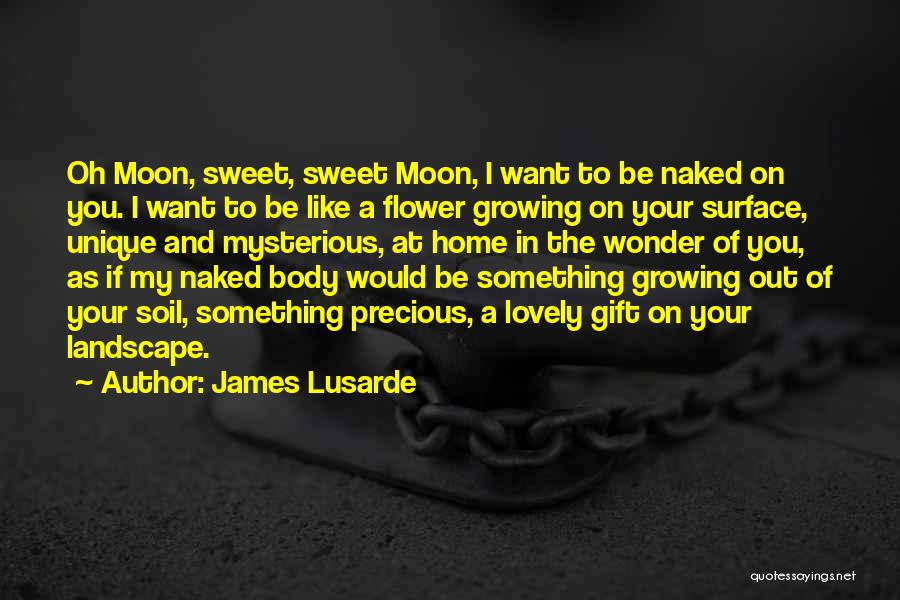 The Mystery Of The Moon Quotes By James Lusarde