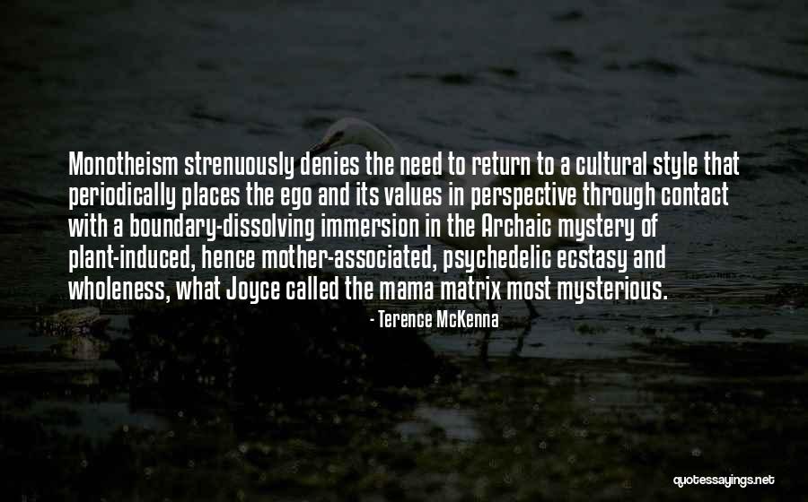 The Mystery Quotes By Terence McKenna The Mystery Quotes By Terence McKenna