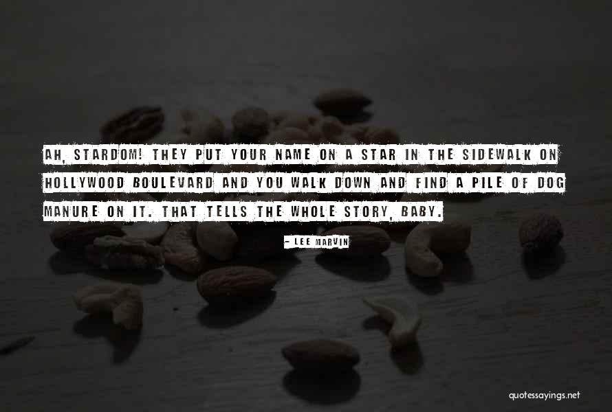 The Name Of The Star Quotes By Lee Marvin The Name Of The Star Quotes By Lee Marvin