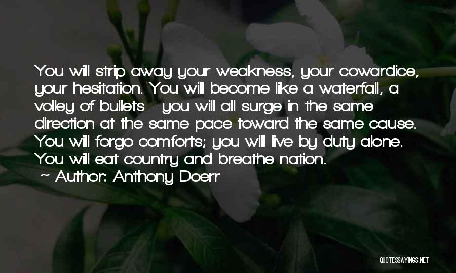 The Nation Quotes By Anthony Doerr