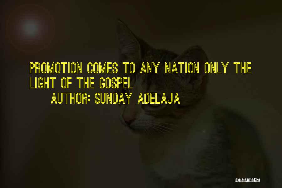 The Nation Quotes By Sunday Adelaja