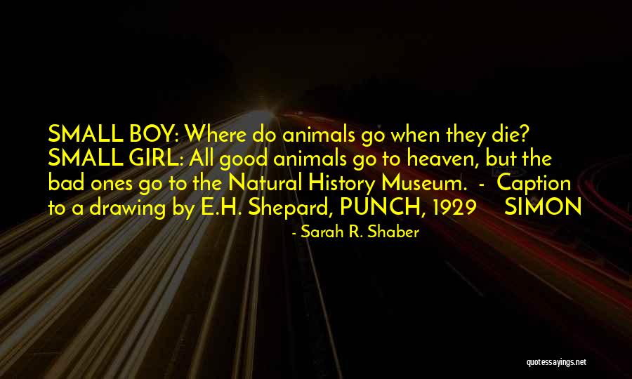 The Natural Wonder Boy Quotes By Sarah R. Shaber