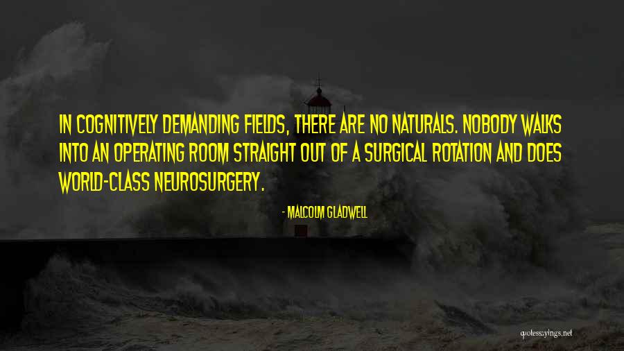 The Naturals Quotes By Malcolm Gladwell The Naturals Quotes By Malcolm Gladwell