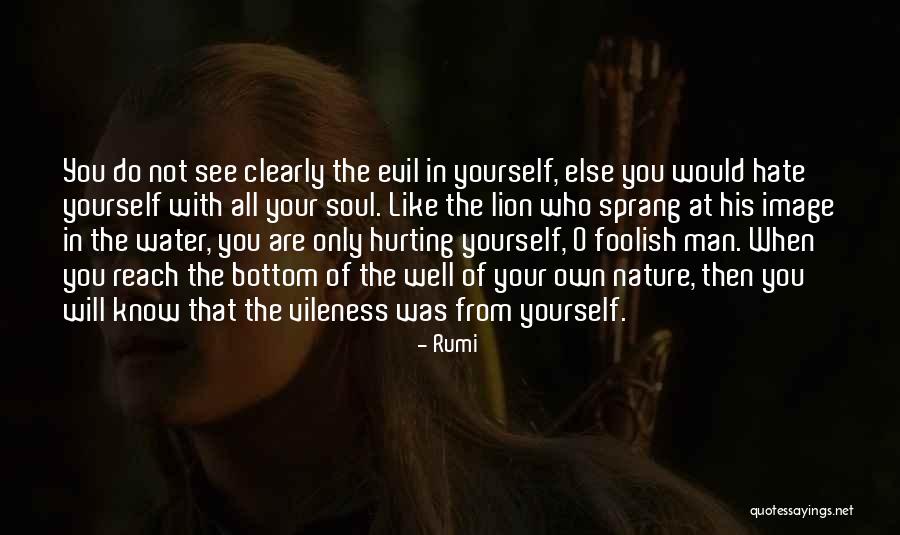 The Nature Of Evil Quotes By Rumi