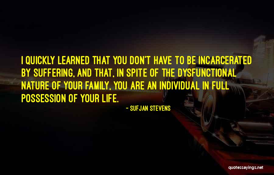 The Nature Of Family Quotes By Sufjan Stevens