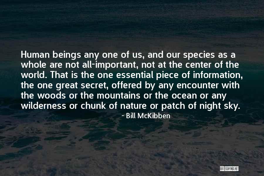 The Nature Of Human Beings Quotes By Bill McKibben The Nature Of Human Beings Quotes By Bill McKibben