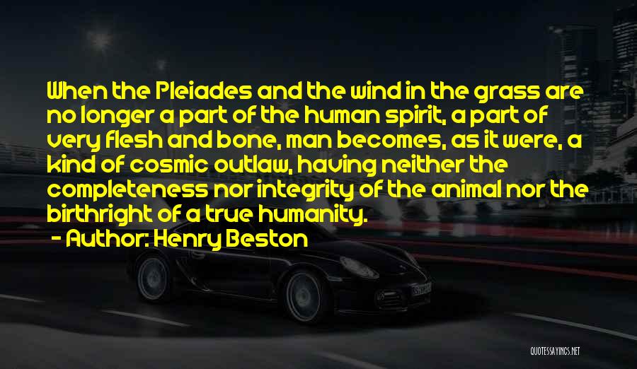 The Nature Of Humanity Quotes By Henry Beston