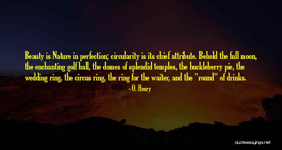 The Nature Of Perfection Quotes By O. Henry The Nature Of Perfection Quotes By O. Henry
