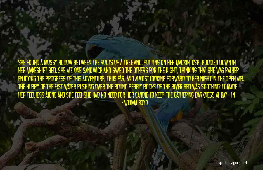 The Need For Roots Quotes By William Boyd The Need For Roots Quotes By William Boyd