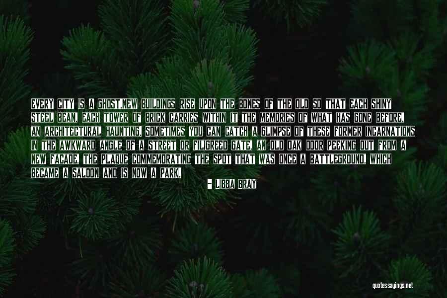 The New And The Old Quotes By Libba Bray The New And The Old Quotes By Libba Bray