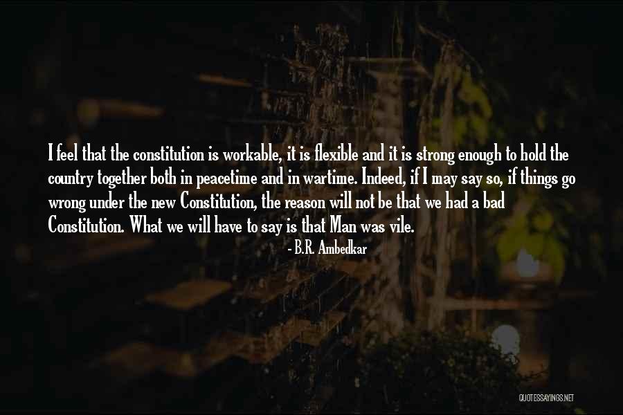 The New Constitution Quotes By B.R. Ambedkar