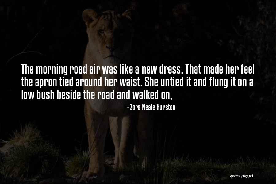 The New Dress Quotes By Zora Neale Hurston The New Dress Quotes By Zora Neale Hurston