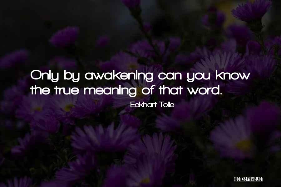 The New Earth Quotes By Eckhart Tolle The New Earth Quotes By Eckhart Tolle