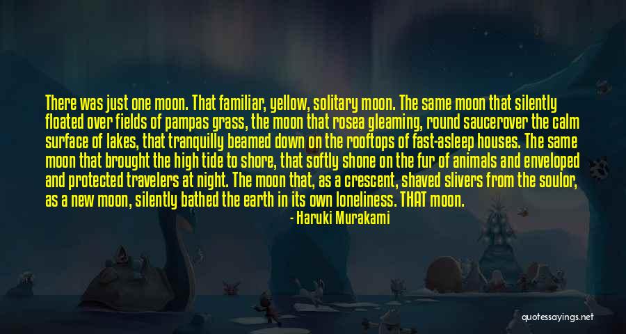 The New Earth Quotes By Haruki Murakami The New Earth Quotes By Haruki Murakami