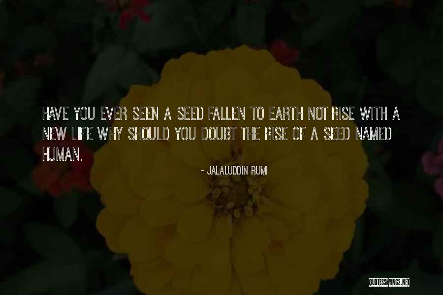 The New Earth Quotes By Jalaluddin Rumi The New Earth Quotes By Jalaluddin Rumi