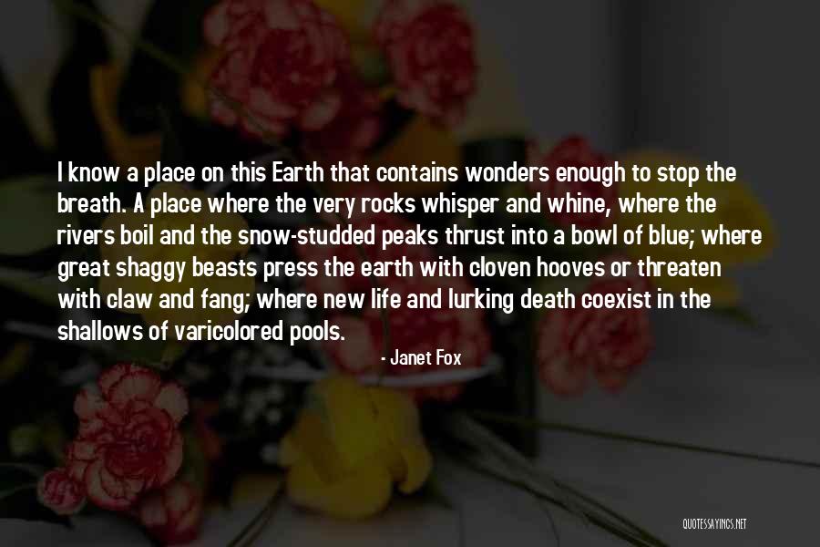 The New Earth Quotes By Janet Fox The New Earth Quotes By Janet Fox