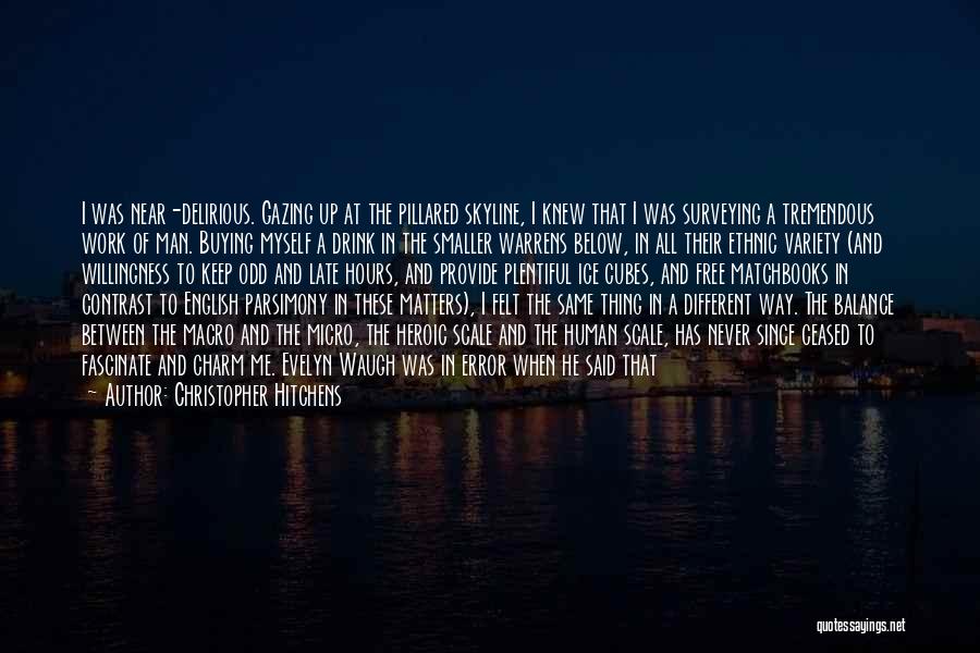 The New York Skyline Quotes By Christopher Hitchens