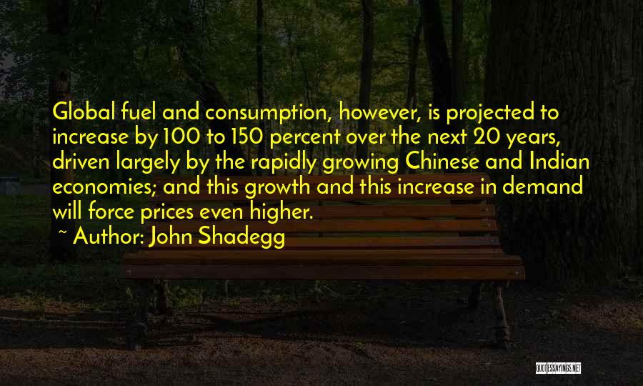 The Next 100 Years Quotes By John Shadegg
