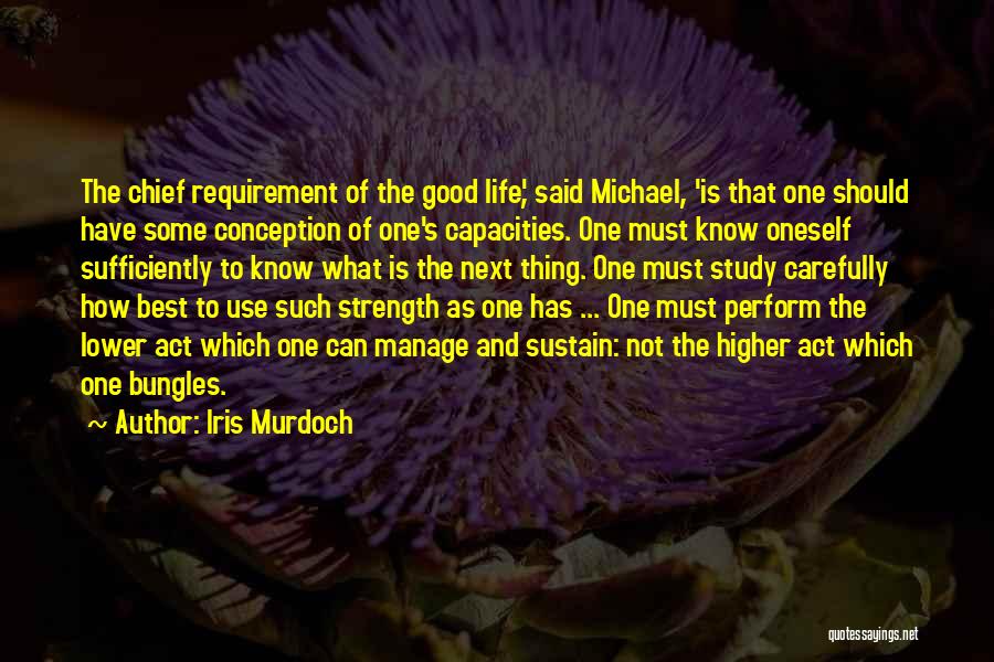 The Next Best Thing Quotes By Iris Murdoch