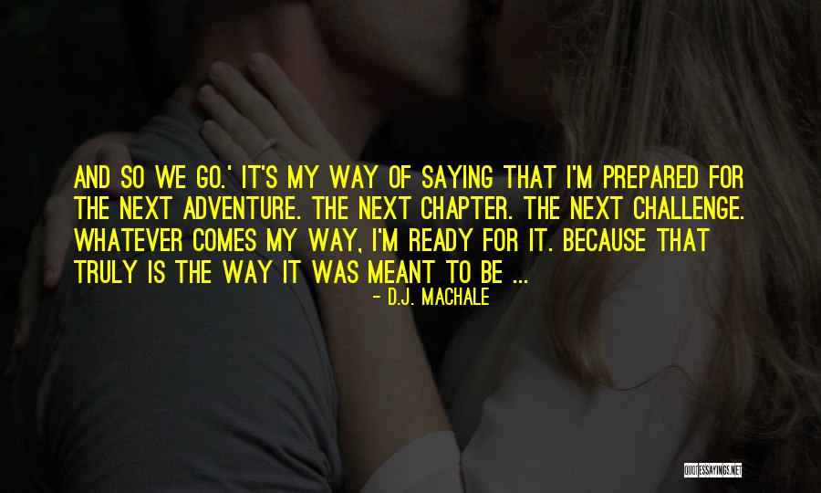 The Next Chapter Quotes By D.J. MacHale The Next Chapter Quotes By D.J. MacHale