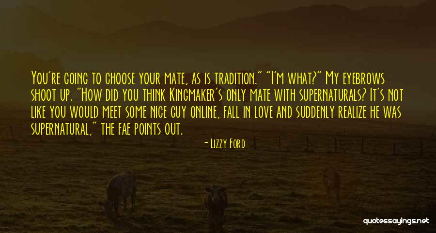 The Nice Guy Quotes By Lizzy Ford