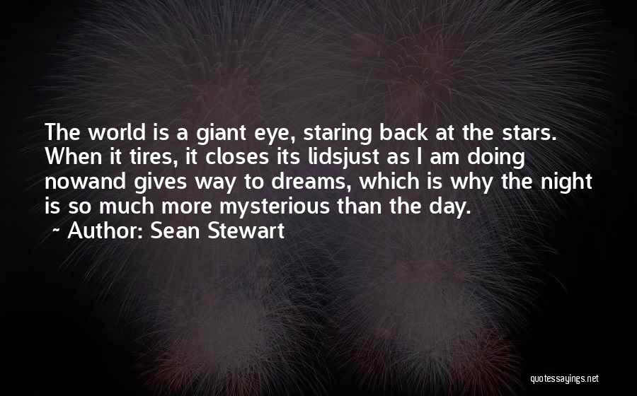 The Night And Dreams Quotes By Sean Stewart