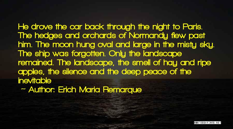 The Night And Moon Quotes By Erich Maria Remarque