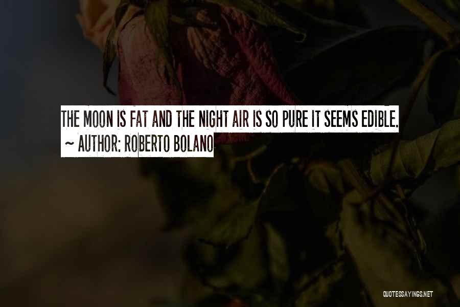 The Night And Moon Quotes By Roberto Bolano