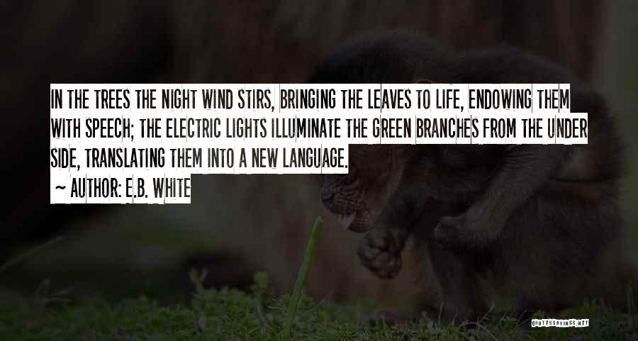 The Night Lights Quotes By E.B. White