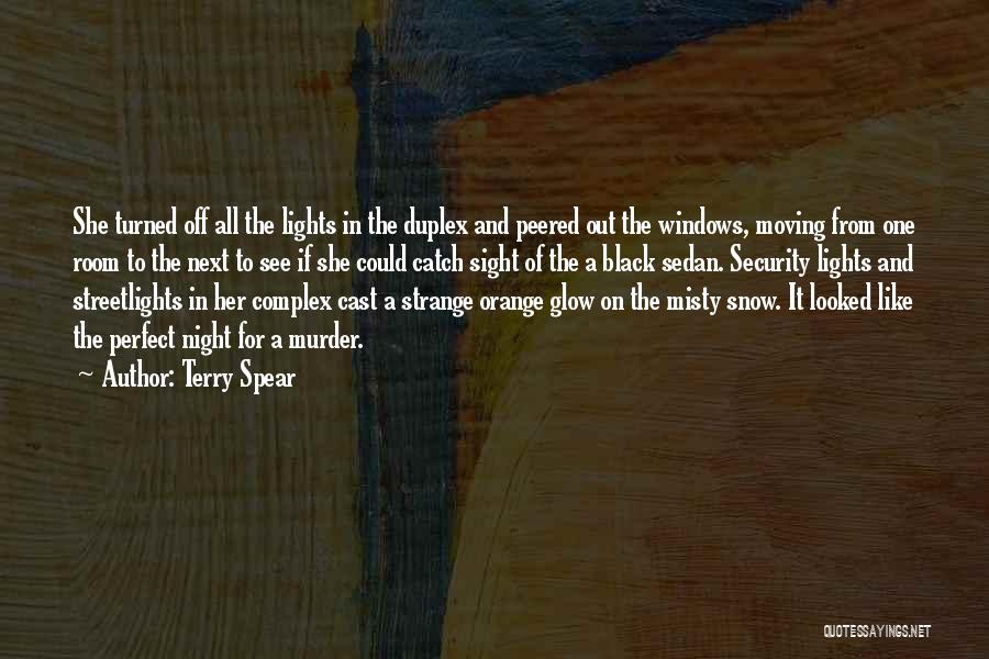 The Night Lights Quotes By Terry Spear
