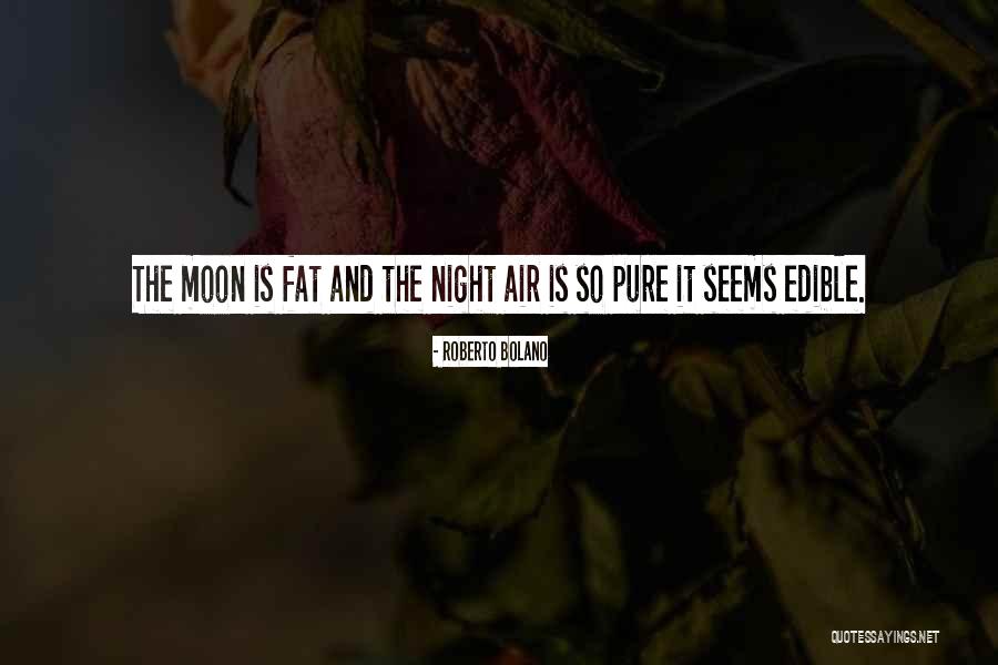 The Night Moon Quotes By Roberto Bolano