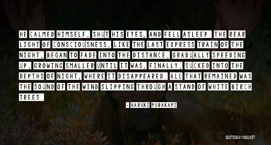 The Night She Disappeared Quotes By Haruki Murakami The Night She Disappeared Quotes By Haruki Murakami