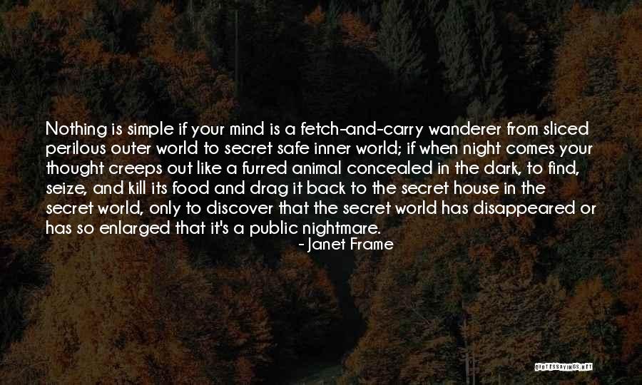 The Night She Disappeared Quotes By Janet Frame The Night She Disappeared Quotes By Janet Frame