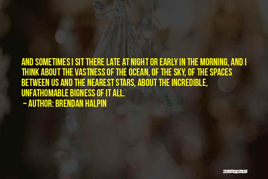 The Night Sky Quotes By Brendan Halpin