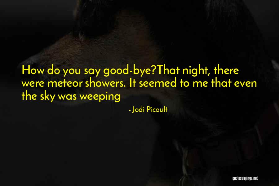 The Night Sky Quotes By Jodi Picoult