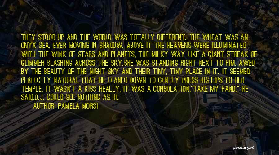 The Night Sky Quotes By Pamela Morsi