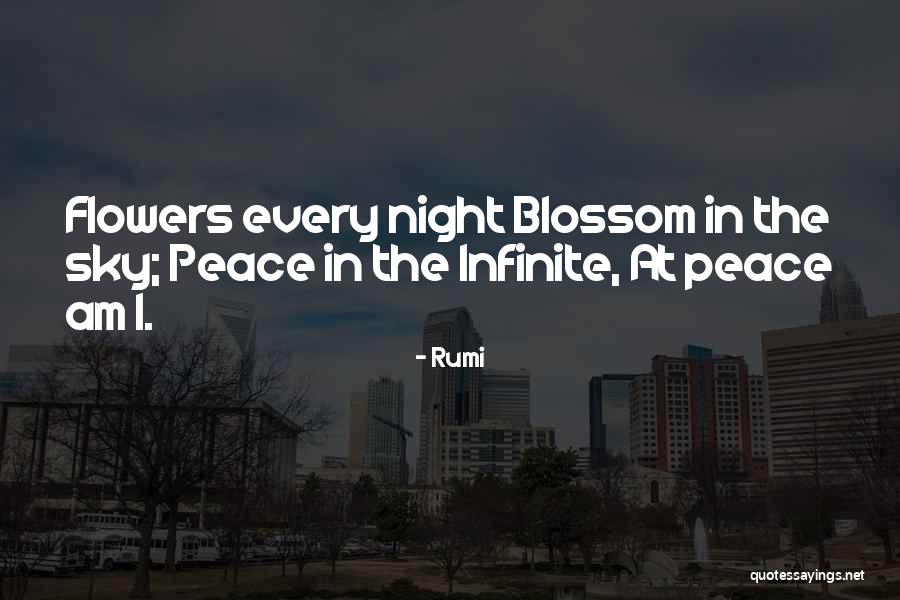 The Night Sky Quotes By Rumi