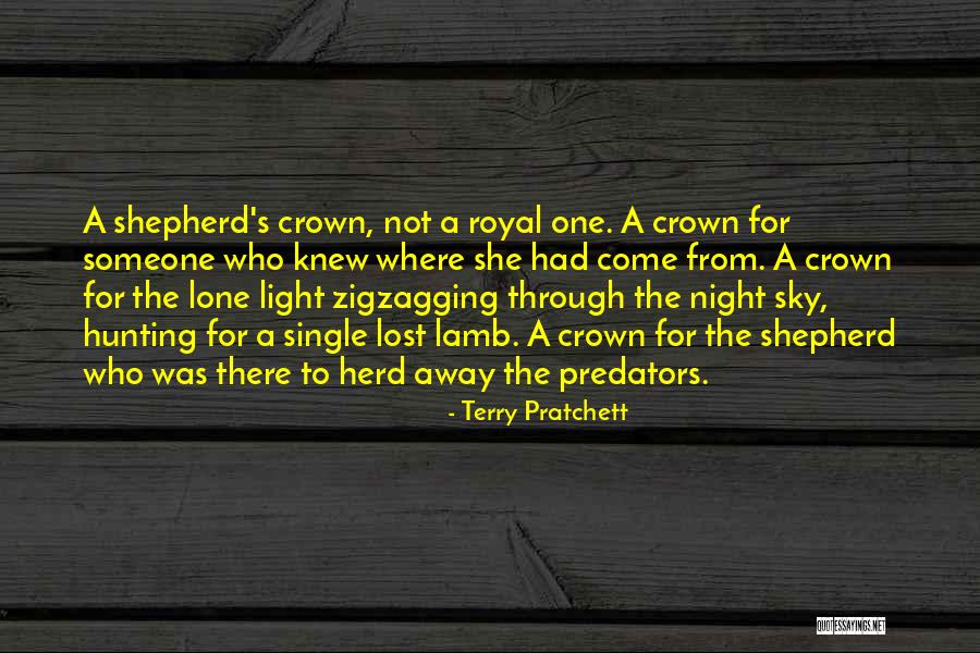 The Night Sky Quotes By Terry Pratchett