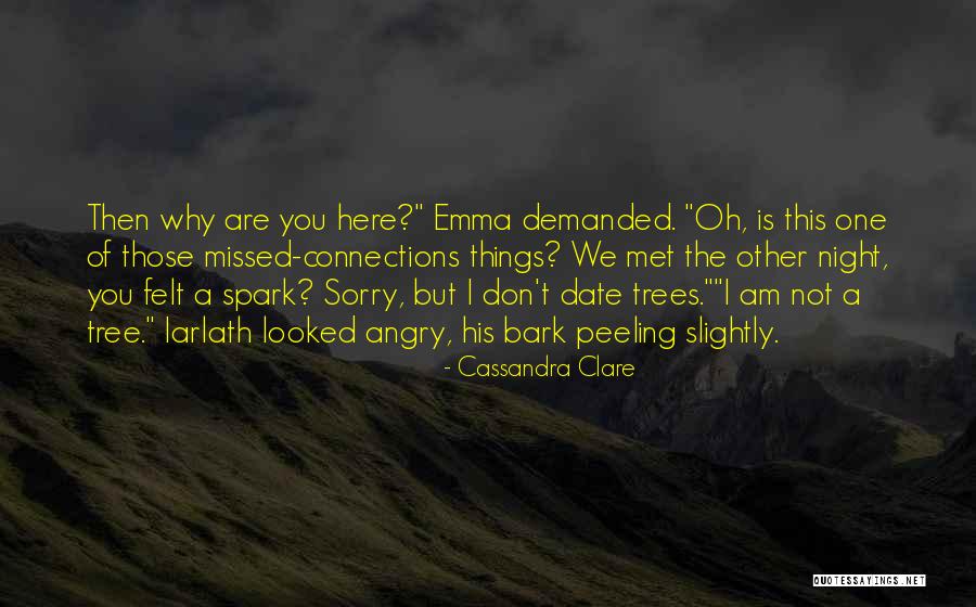 The Night We Met Quotes By Cassandra Clare The Night We Met Quotes By Cassandra Clare