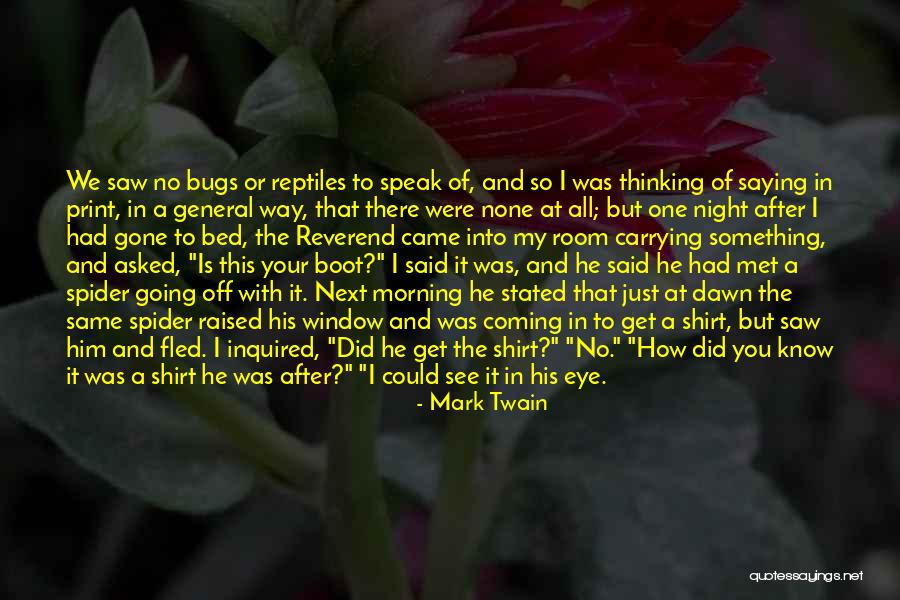 The Night We Met Quotes By Mark Twain The Night We Met Quotes By Mark Twain
