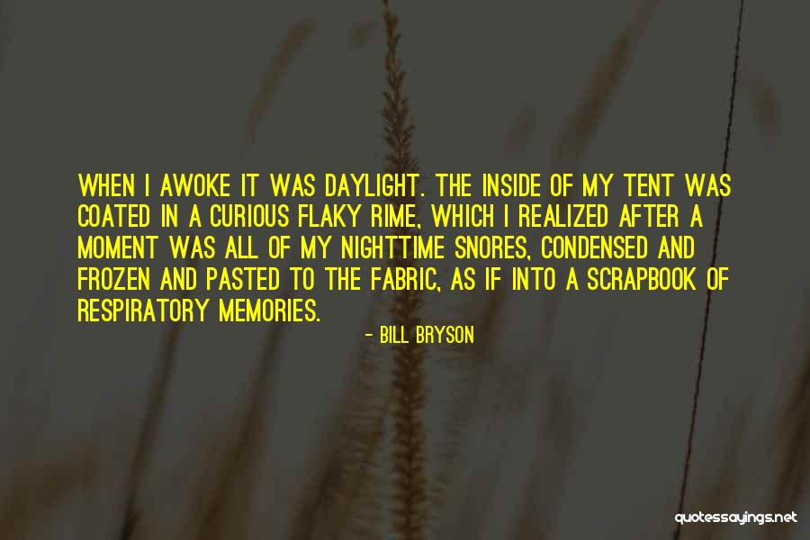 The Nighttime Quotes By Bill Bryson