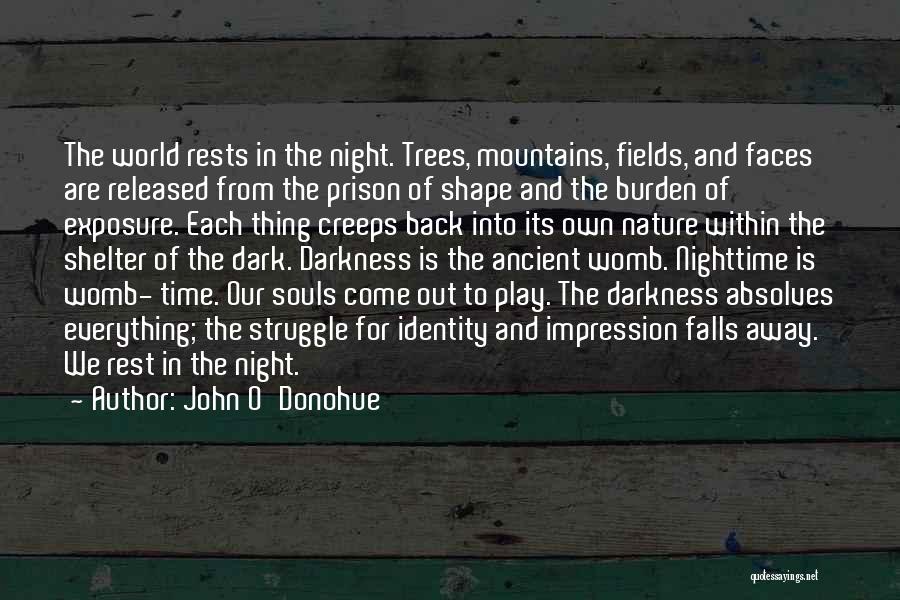 The Nighttime Quotes By John O'Donohue