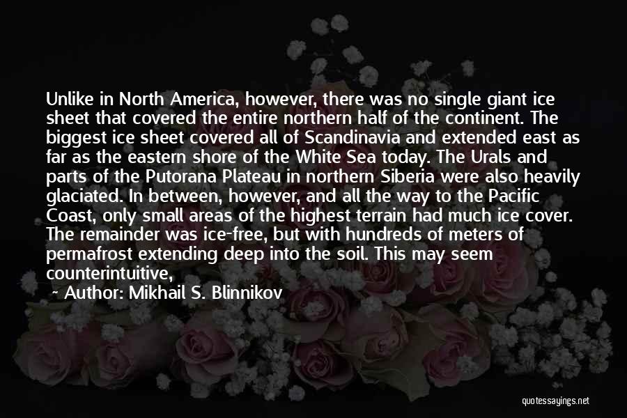The North East Quotes By Mikhail S. Blinnikov