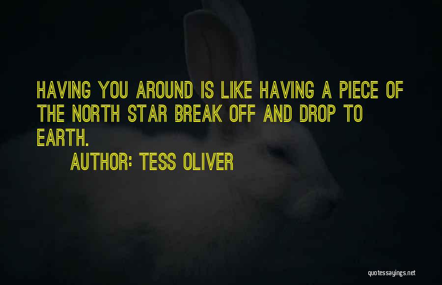 The North Star Quotes By Tess Oliver